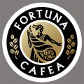 Fortuna