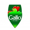 Gallo 